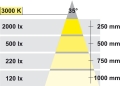 01855600_0.jpg