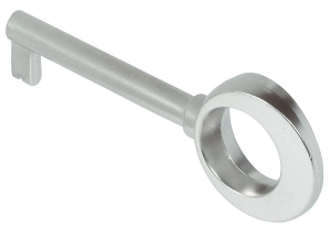 Klucz ozdobny 8/6mm, ZNAL NIKIEL MAT Häfele 20463683