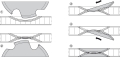 01192129_0.jpg