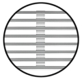 ppic-00630859.jpg