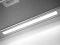 ppic-04685096.jpg