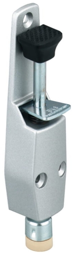 ppic-00753263.jpg