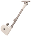 ppic-04179462.jpg