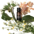 De-stress-Pure-Essential-Oil-Blend-odstresowujacy-olejek-do-inhalacji-skladniki-aromatherapy-associates.webp
