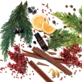 Forest-Therapy-Pure-Essential-Oil-Blend-Lesna-skladniki-terapia-olejek-do-inhalacji-aromatherapy-associate-2.webp