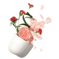 Rose-Candle-swieca-rozana-aromatherapy-associates-2.webp