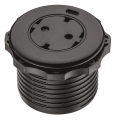 ppic-04986746.jpg