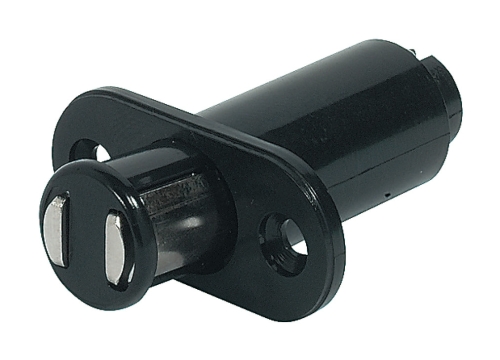 ppic-00755905.jpg