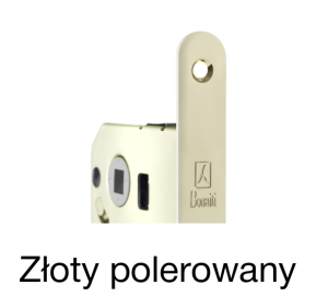 Zamek magnetyczny B-Forty NG "do WC" do drzwi drewnianych ZŁOTY POLEROWANY Häfele 91122877