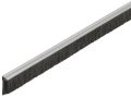 ppic-00600604.jpg